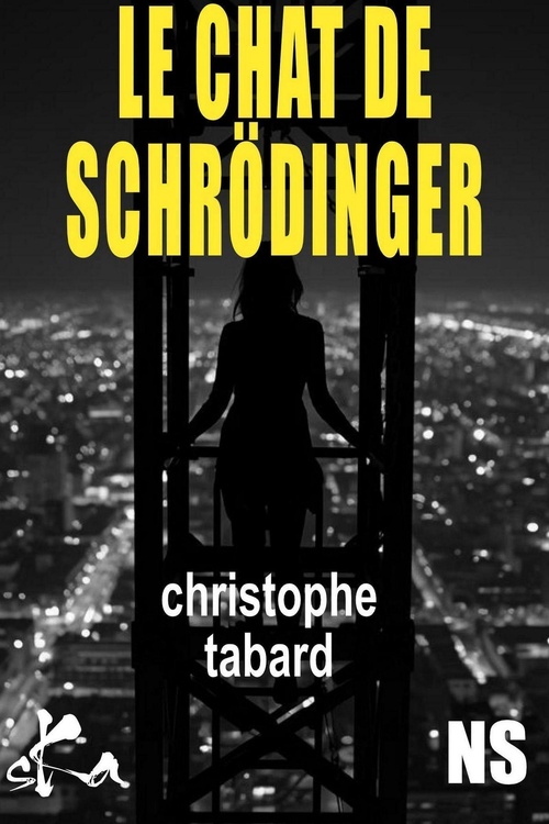 ebook cover of Le Chat de Schrödinger, by Christophe Tabard