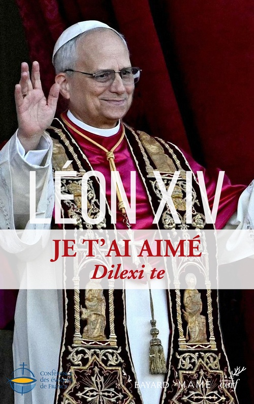 ebook cover of Dilexi te, by Leon Xiv