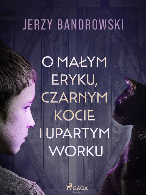 ebook cover of O malym Eryku, czarnym kocie i upartym worku, by Jerzy Bandrowski