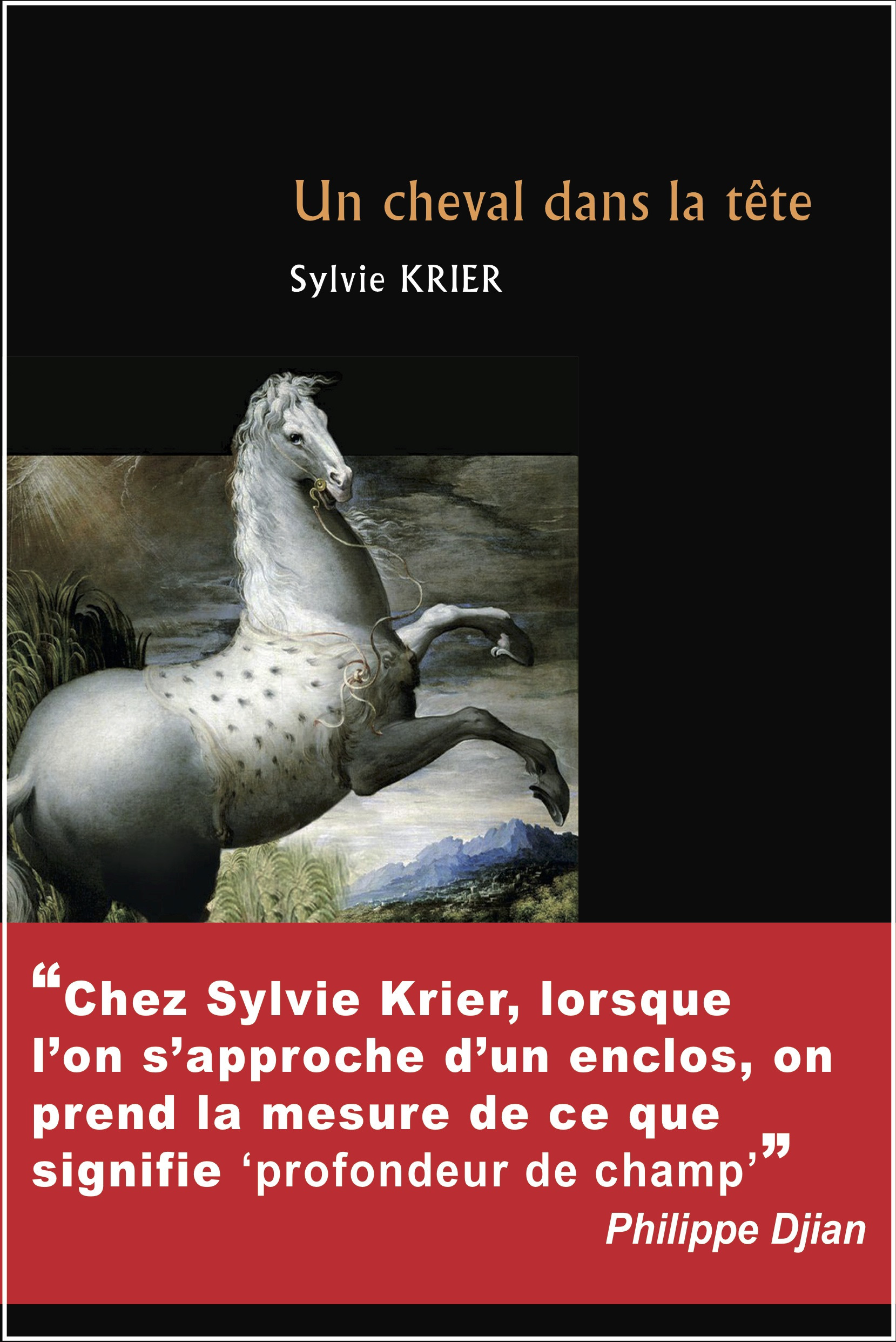Couverture ebook de Un cheval dans la tête, de Sylvie Krier