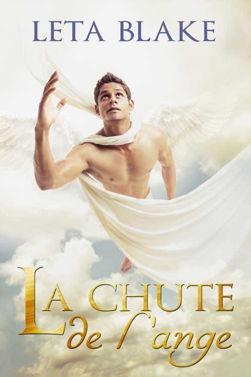 Couverture ebook de La chute de l'ange, de Leta Blake