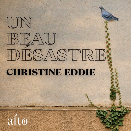 Couverture audiobook de Un beau désastre, de Eddie Christine