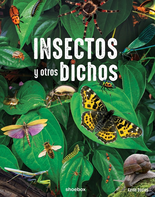 ebook cover of Insectos y otros bichos, by Kevin Duclos