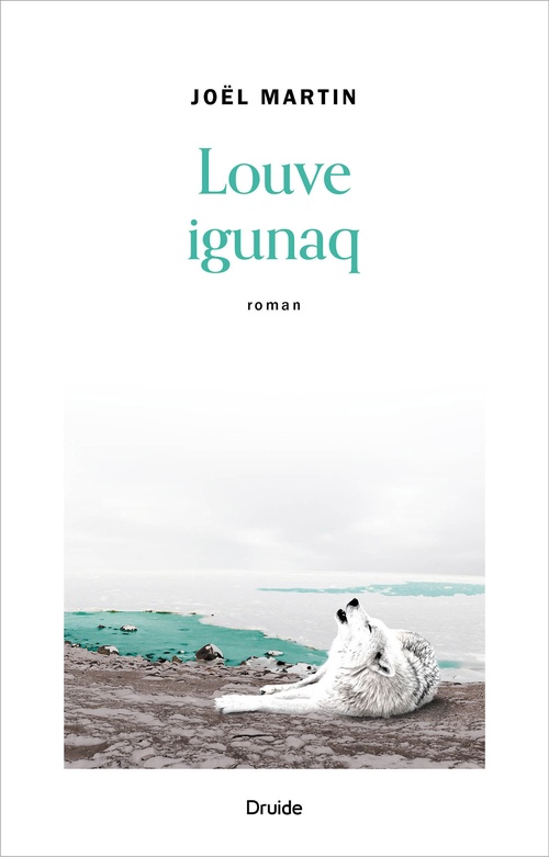 ebook cover of Louve igunaq, by Joël Martin