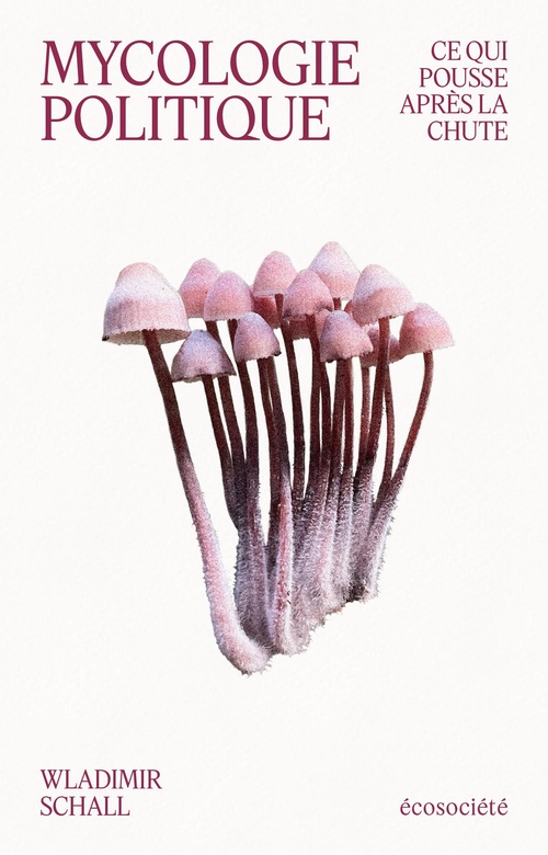ebook cover of Mycologie politique, by Wladimir SCHALL