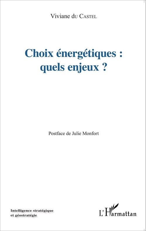 Couverture ebook de Choix énergétiques : quels enjeux?, de Viviane Du castel