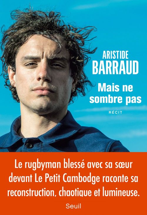 ebook cover of Mais ne sombre pas, by Aristide Barraud
