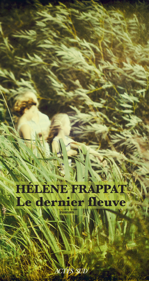 ebook cover of Le Dernier Fleuve, by Hélène Frappat