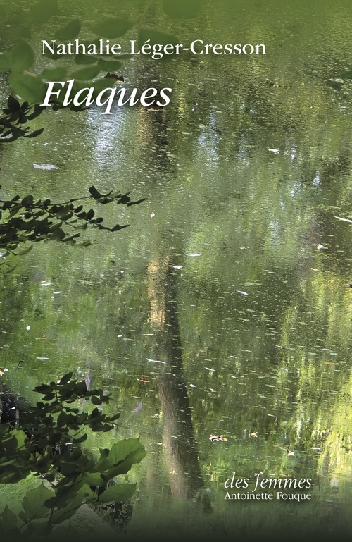 ebook cover of Flaques, by Nathalie Léger-Cresson