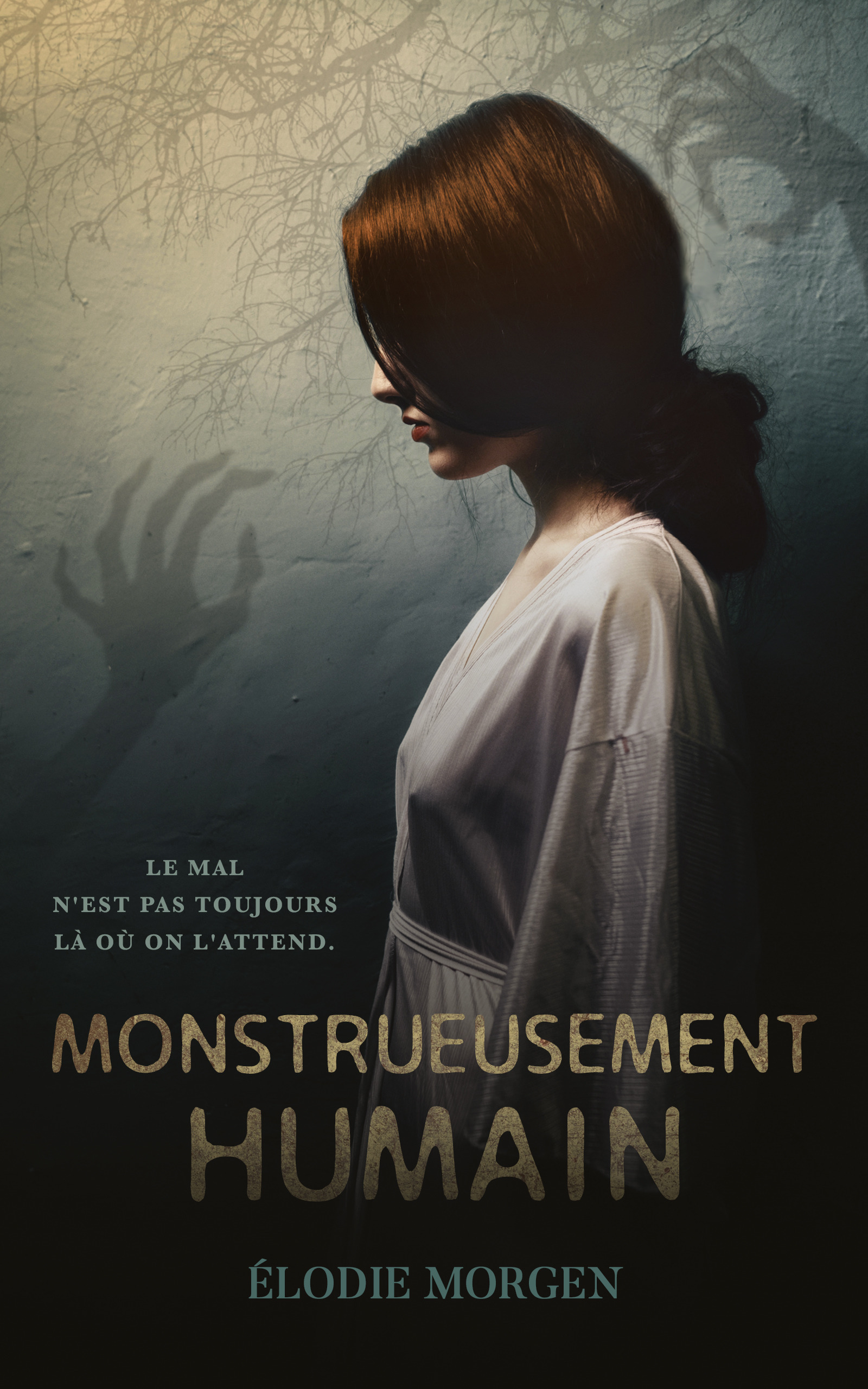 ebook cover of Monstrueusement humain, by Elodie Morgen
