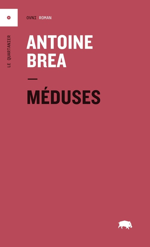 Couverture ebook de Méduses, de Antoine Brea