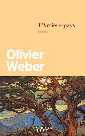 ebook cover of L'Arrière-pays, by Olivier Weber
