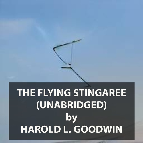 Couverture audiobook de The Flying Stingaree (UNABRIDGED), de Harold L. Goodwin