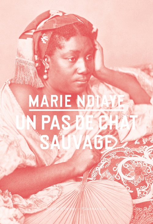 Couverture ebook de Un pas de chat sauvage, de Marie NDiaye