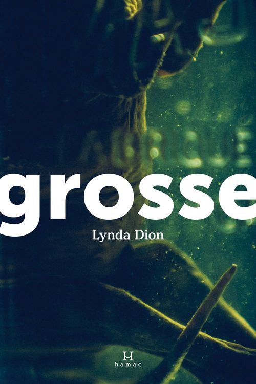 Couverture ebook de Grosse, de Dion Lynda