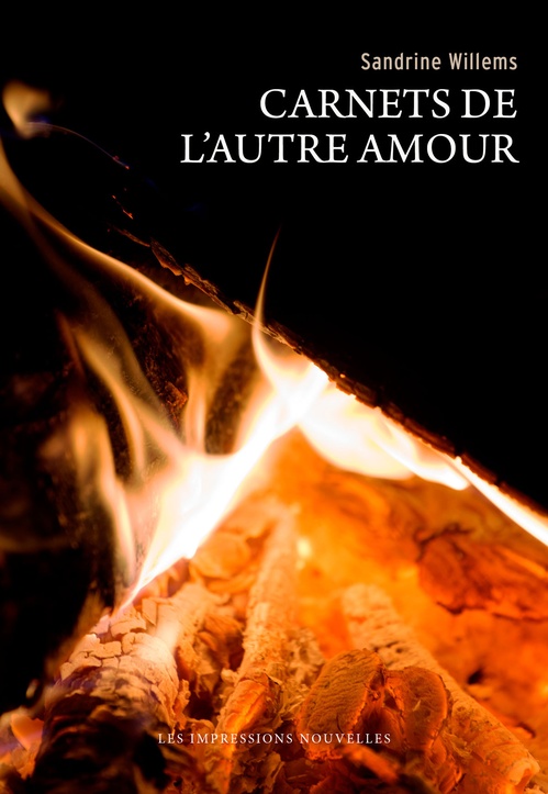 ebook cover of Carnets de l'autre amour, by Sandrine Willems