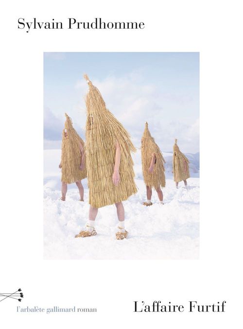 ebook cover of L'affaire Furtif, by Sylvain Prudhomme