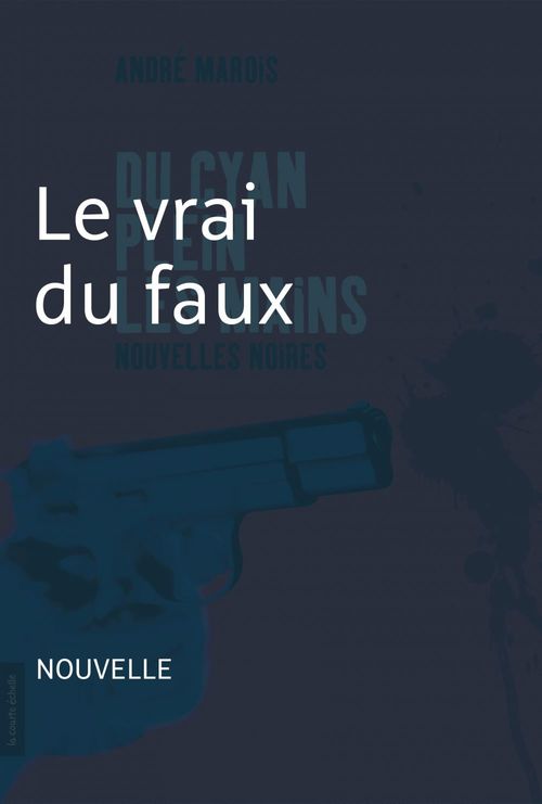 ebook cover of Le vrai du faux, by André Marois