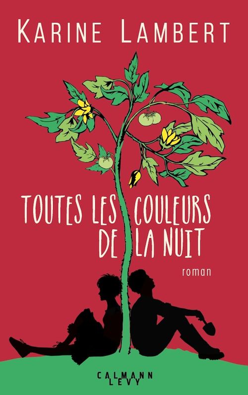 ebook cover of Toutes les couleurs de la nuit, by Karine Lambert