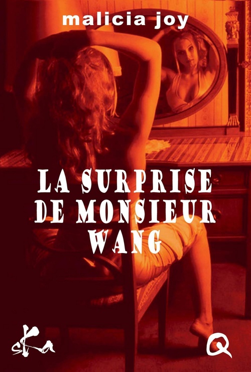 ebook cover of La surprise de Monsieur Wang, by Malicia Joy