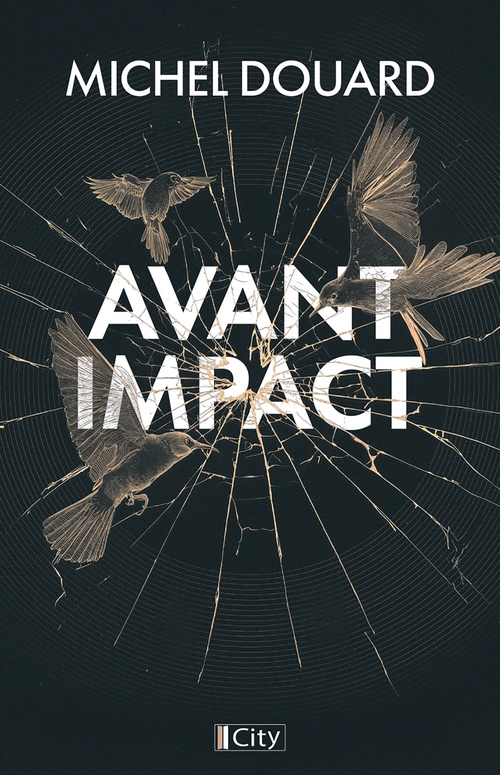 ebook cover of Avant impact, by Michel Douard