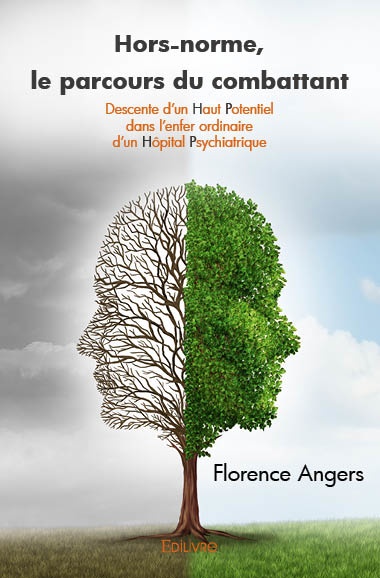 ebook cover of Hors-norme, le parcours du combattant, by Florence Angers
