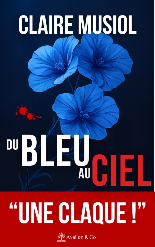 ebook cover of Du bleu au ciel, by Claire Musiol