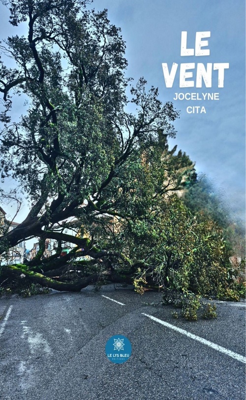 ebook cover of Le vent, by Jocelyne Cita