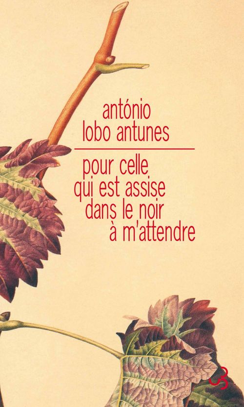 ebook cover of Pour celle qui est assise dans le noir à m'attendre, by António Lobo Antunes