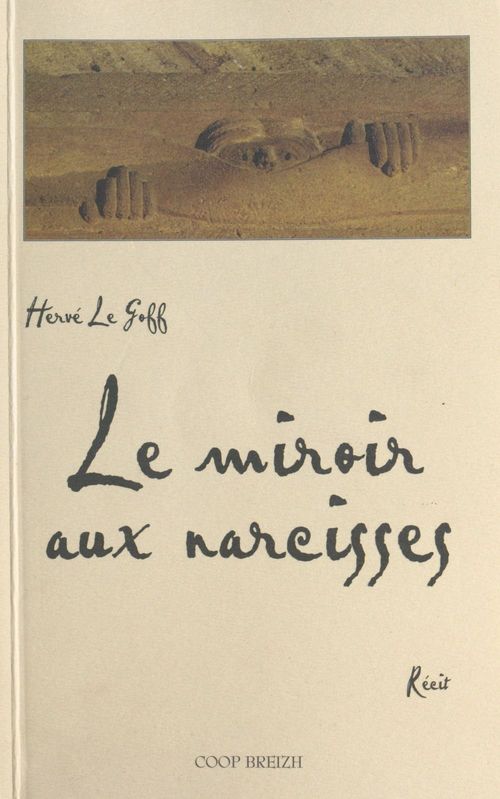Couverture ebook de Le miroir aux narcisses, de Hervé Le Goff
