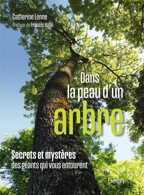 ebook cover of Dans la peau d'un arbre : Secrets et mystères des géants qui vous entourent, by Catherine Lenne