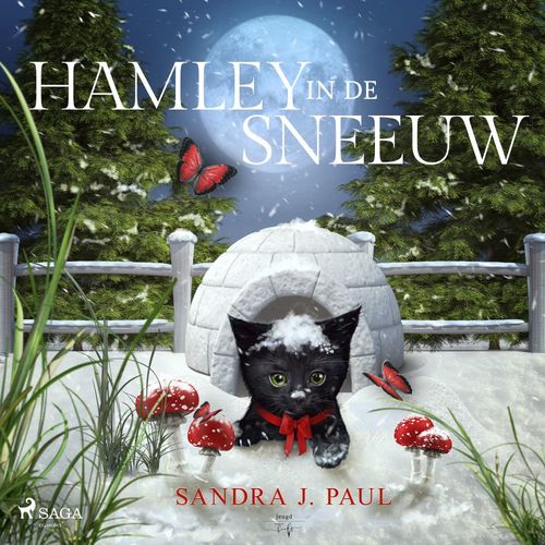 audiobook cover of Hamley in de sneeuw, by Sandra J. Paul