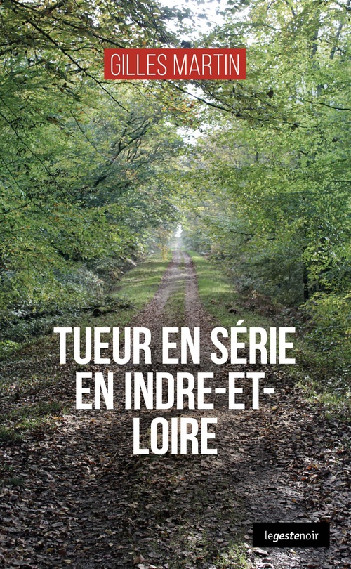 ebook cover of Tueur en serie en Indre-et-Loire, by Gilles Martin