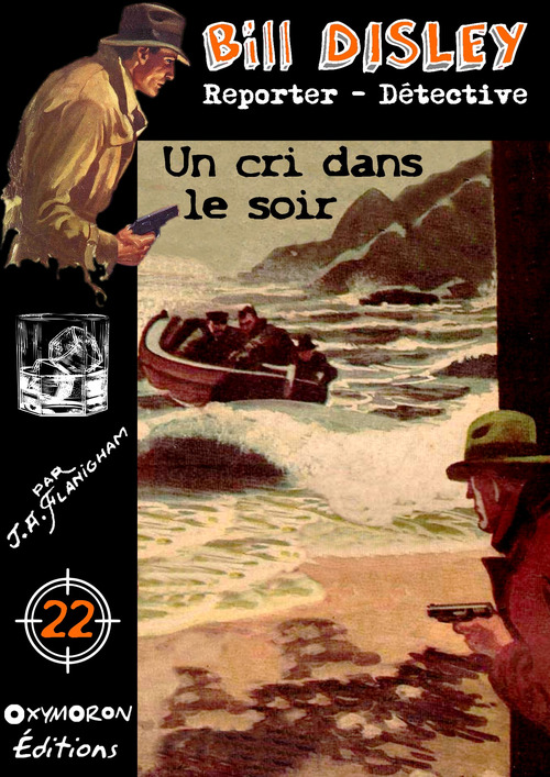 Couverture ebook de Un cri dans le soir, de J. A. Flanigham