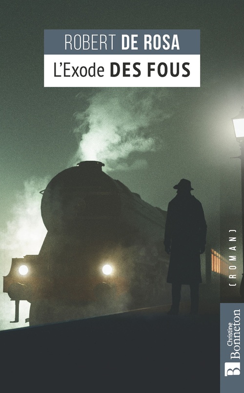 Couverture ebook de L'Exode des fous, de Robert de Rosa