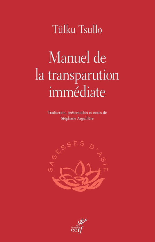 ebook cover of MANUEL DE LA TRANSPARUTION IMMÉDIATE, by Stéphane Arguillière, Tülko Tsullo