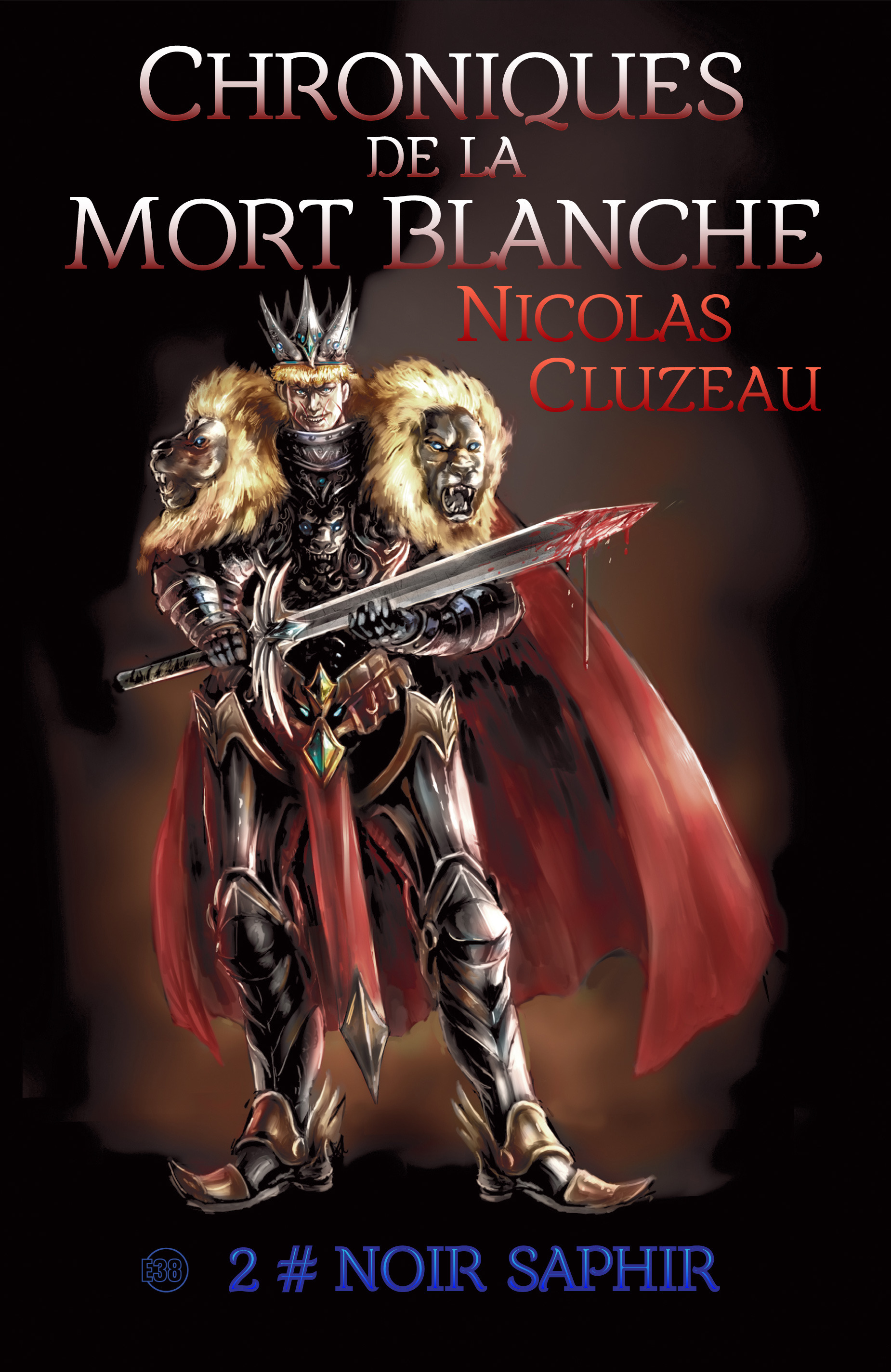 ebook cover of Noir saphir, by Nicolas Cluzeau
