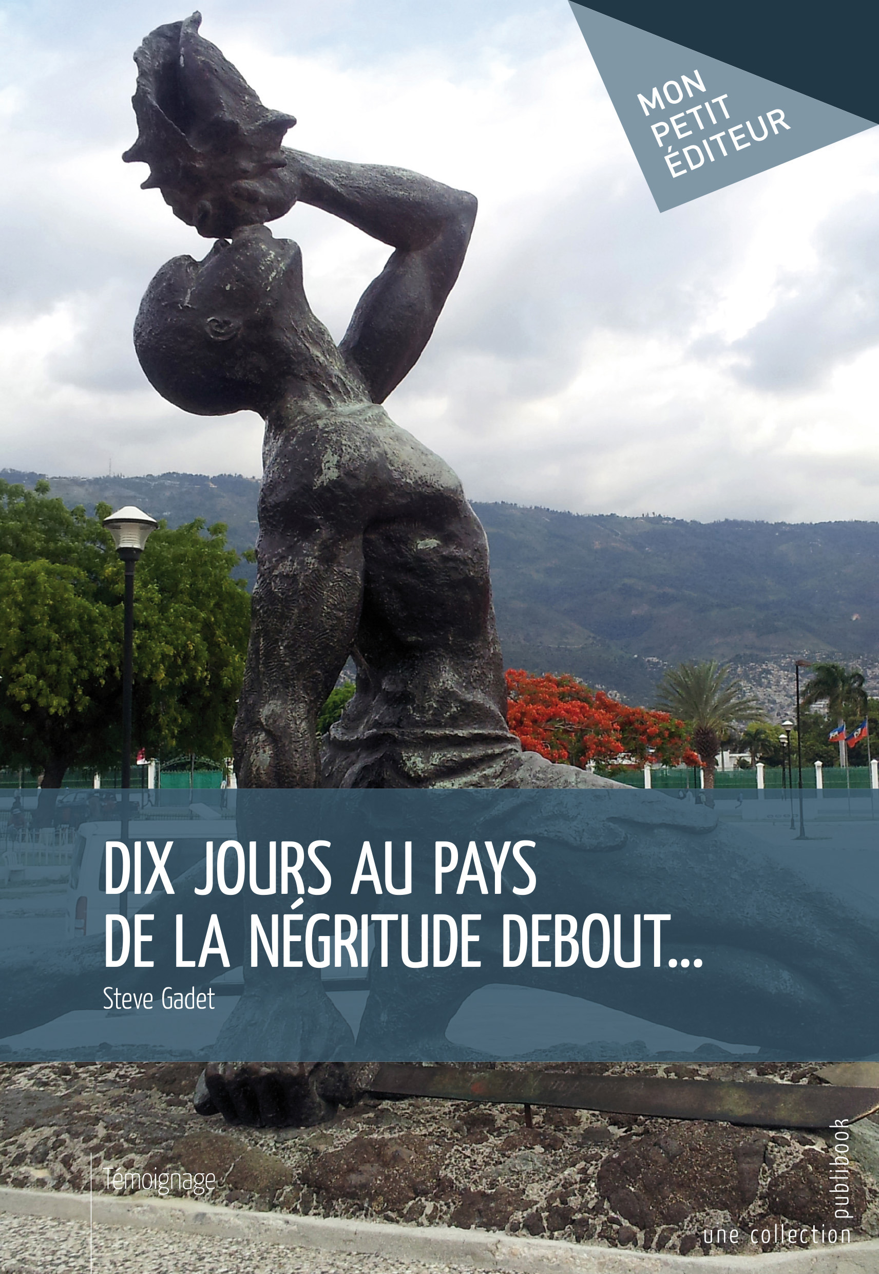 ebook cover of Dix jours au pays de la négritude debout..., by Steve Gadet