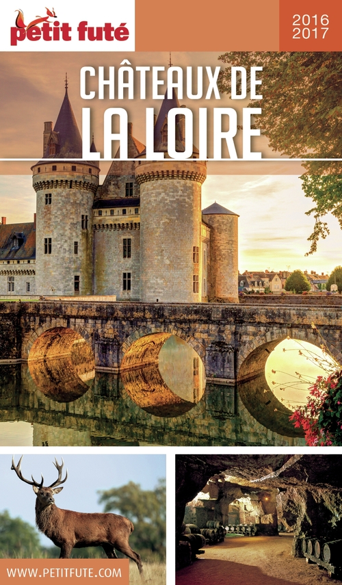 ebook cover of CHÂTEAUX DE LA LOIRE 2016/2017 Petit Futé, by Collectif petit futé
