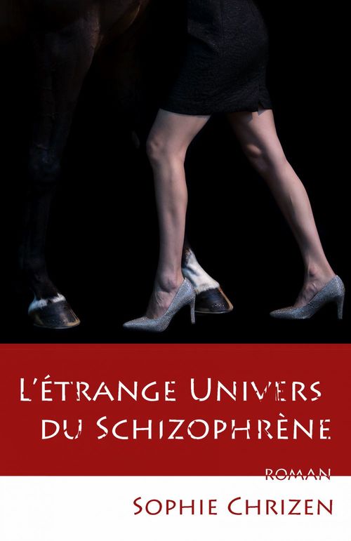 ebook cover of L'Étrange univers du schizophrène, by Sophie Chrizen