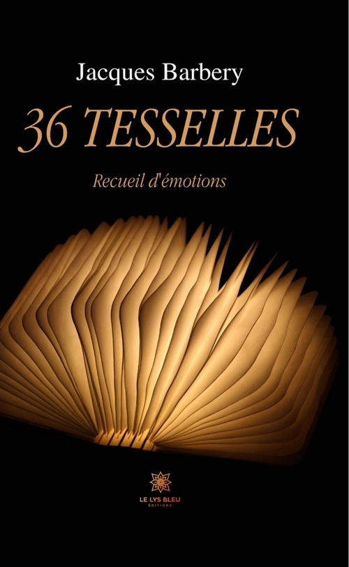 ebook cover of 36 tesselles, by Jacques Barbery