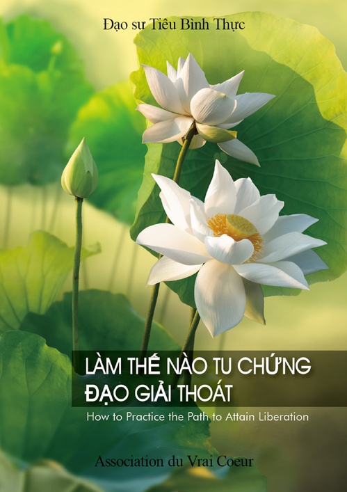 ebook cover of LÀM TH NÀO TU CHNG DO GII THOÁT, by Pingshi Xiao