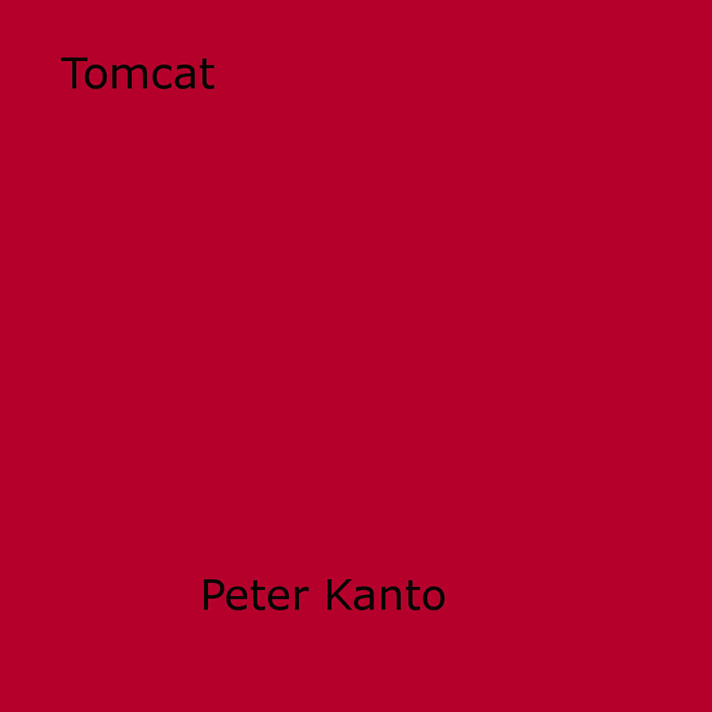 Couverture ebook de Tomcat, de Peter Kanto