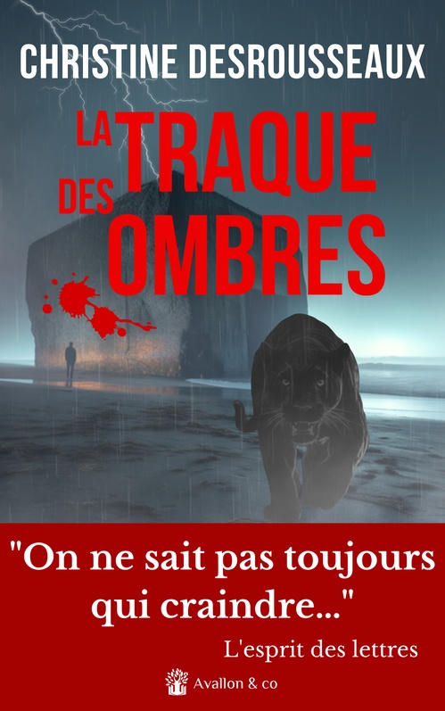 Couverture ebook de La traque des ombres, de Christine Desrousseaux