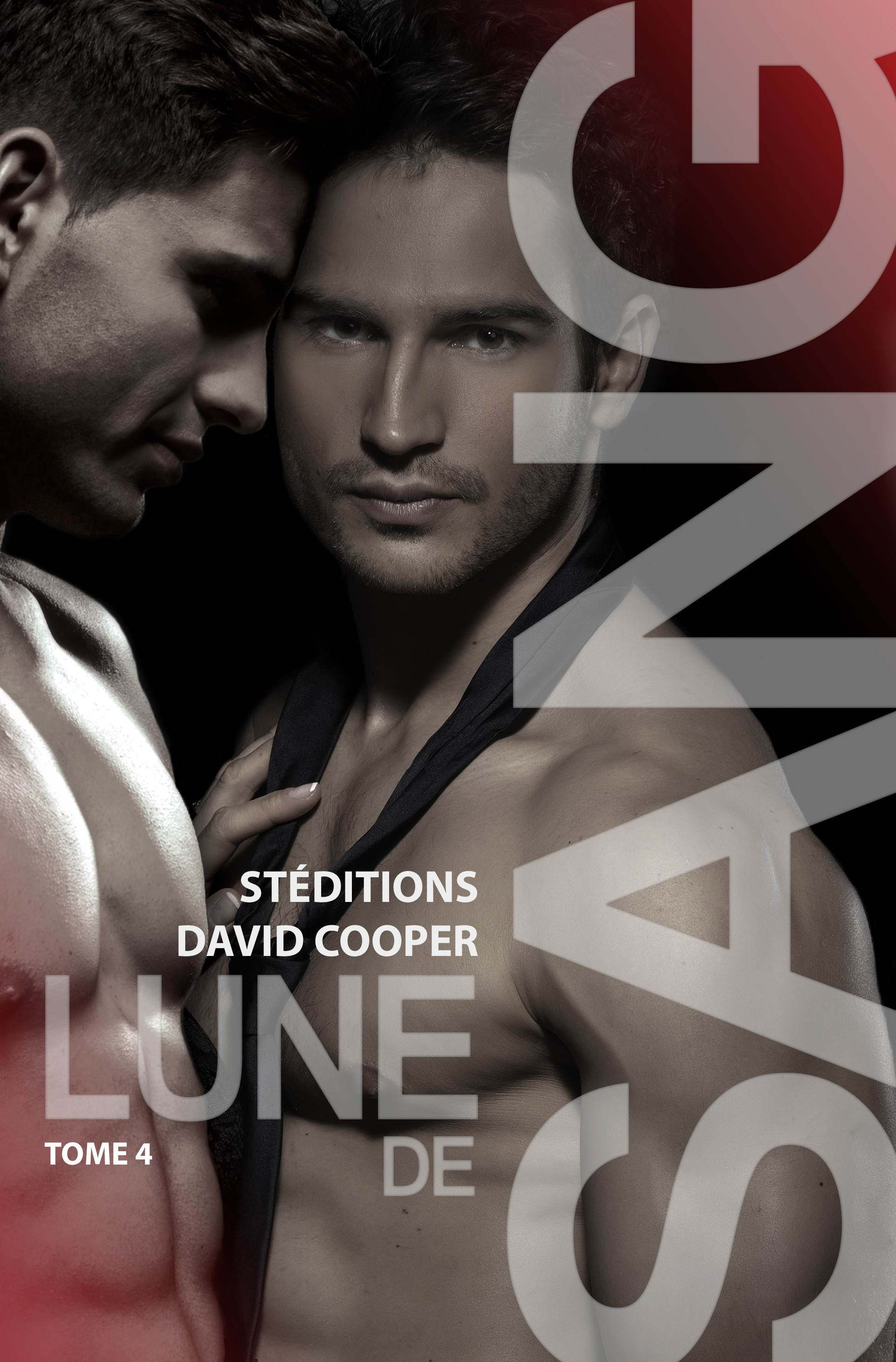 ebook cover of Lune de sang - Tome 4, by David Cooper