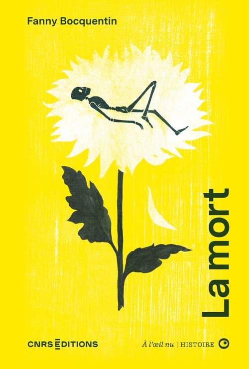 ebook cover of La mort à l'oeil nu, by Fanny Bocquentin, Caroline Gamon
