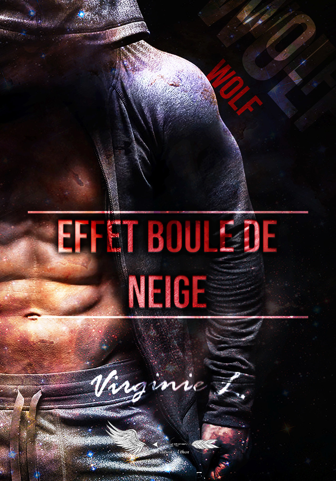 ebook cover of Effet boule de neige, by Virginie Lopes