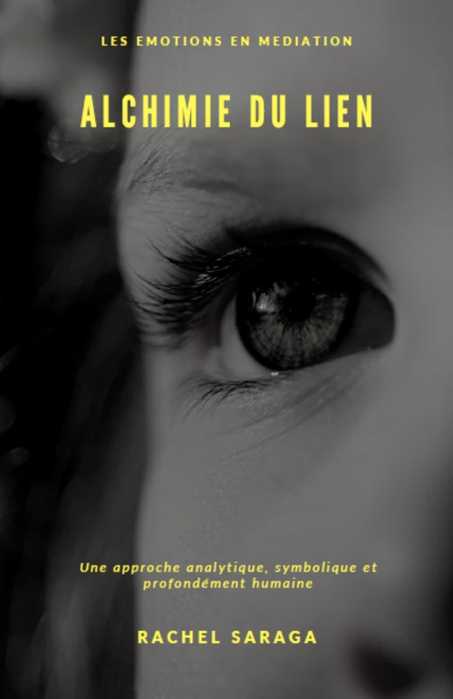 ebook cover of Les émotions en médiation, by Rachel Saraga