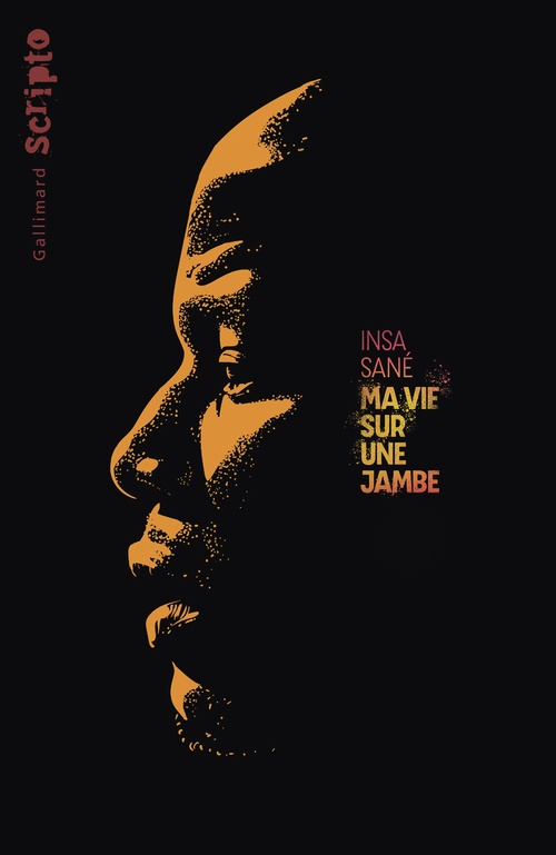 Couverture ebook de Ma vie sur une jambe, de Insa Sané