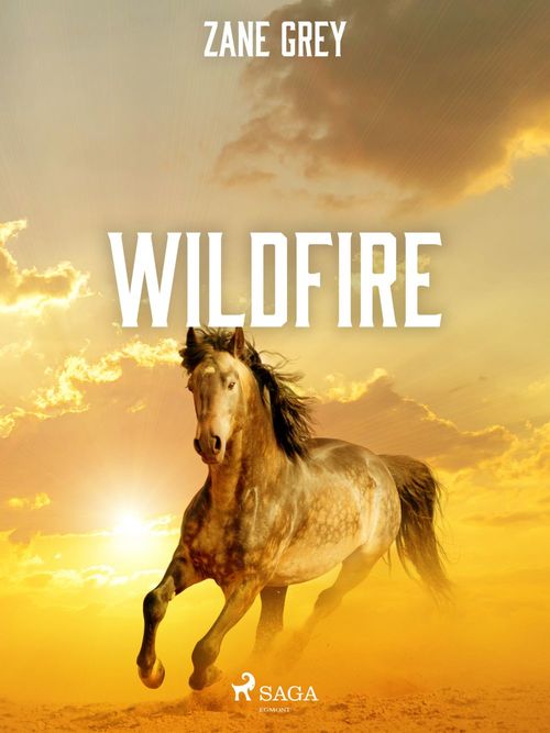 ebook cover of Wildfire, by Zane Grey